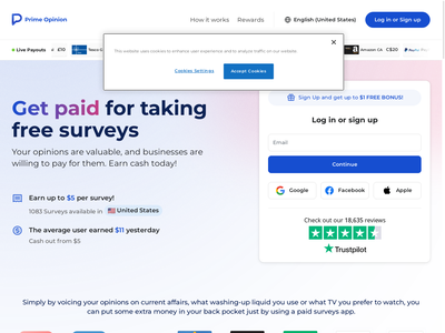 Prime Opinion website